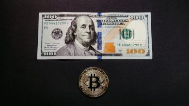 Bitcoin Neden Değerlidir? Bitcoin Fiyatı Nasıl Yükselir?