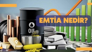 Emtia Ürünleri Nelerdir?